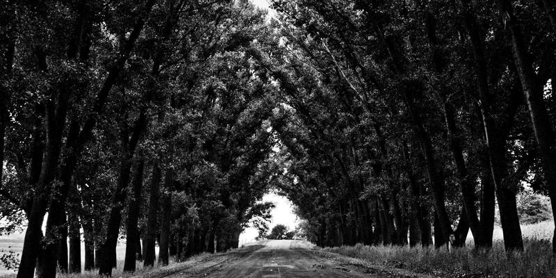 单晶硅VS多晶硅：太阳能电池板核心技术差异全解析，助您明智选择新能源方案