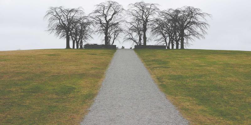 太阳能热水器与空气能热水器：谁才是绿色能源时代的能效王者？