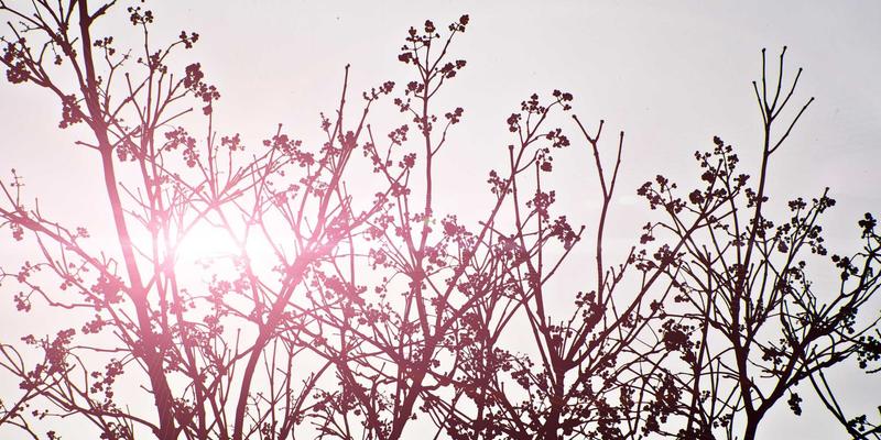 工商业屋顶太阳能发电：揭秘高回报率的绿色投资新蓝海